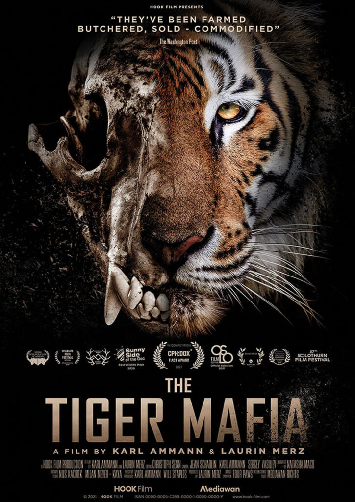THE TIGER MAFIA